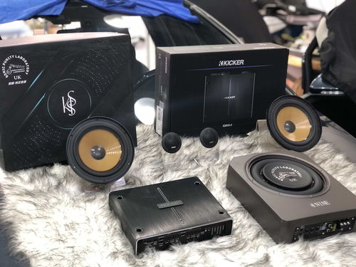 汽车选装音箱多少钱一天(汽车选装高品质音箱的费用及其日常考量)