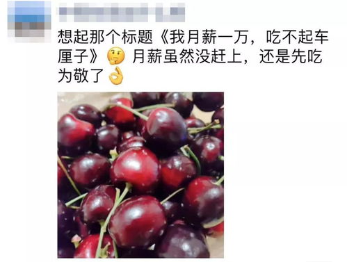 汽车车厘子多少钱一箱(汽车车厘子价格解析,多少钱一箱? 汽车车厘子多少钱一箱(汽车车厘子价格解析,多少钱一箱?