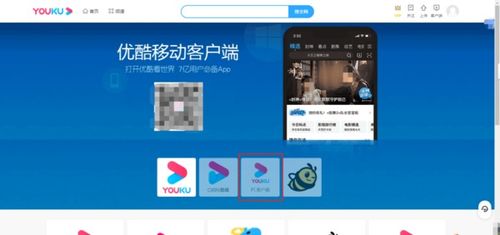 优酷电脑版怎么下载华为(优酷电脑版下载指南，如何轻松下载华为版优酷视频客户端)