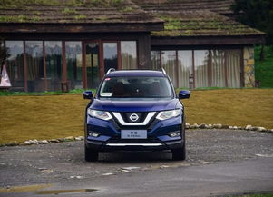 奇骏汽车倒车灯泡多少钱(奇骏汽车倒车灯泡价格解析)