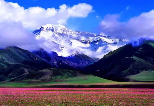 宁德至天台汽车票多少钱(探寻宁德至天台汽车票价，一场跨越山川的旅程)