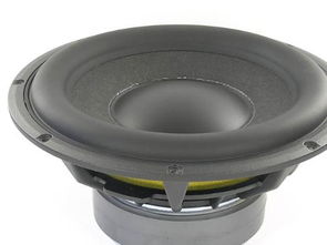 正力汽车扬声器线多少钱(正力汽车扬声器线的价格解析)