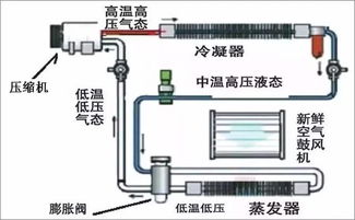 汽车空调有多少个循环泵(汽车空调循环泵的数量及其作用) 汽车空调有多少个循环泵(汽车空调循环泵的数量及其作用)