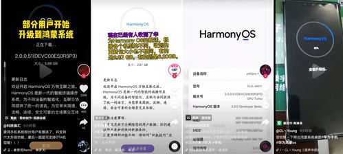 华为鸿蒙os怎么用电脑升级(华为鸿蒙OS电脑升级指南)