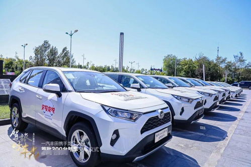 租丰田汽车一天多少钱车(租车市场的新宠，丰田汽车租赁费用详解)