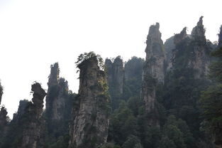 汽车长沙至张家界多少钱(汽车长沙至张家界价格详解)