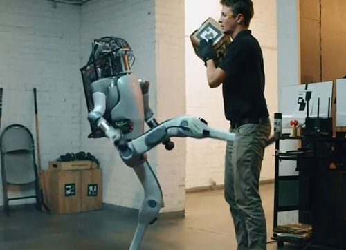 美女机器人击倒对手后拍屁股挑衅(美女机器人挑战极限，击倒对手后的独特挑衅方式)