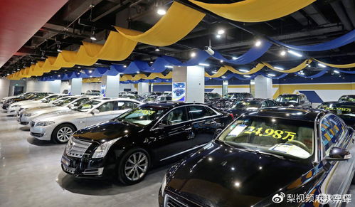 有多少年轻人不买汽车了(有多少年轻人不再购买汽车了？探究现代年轻人的出行新选择)