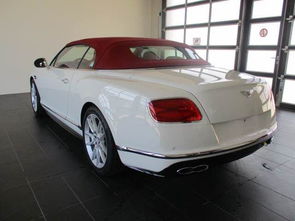 敞篷版汽车多少钱一台(敞篷版汽车价格探析，多少钱一台？