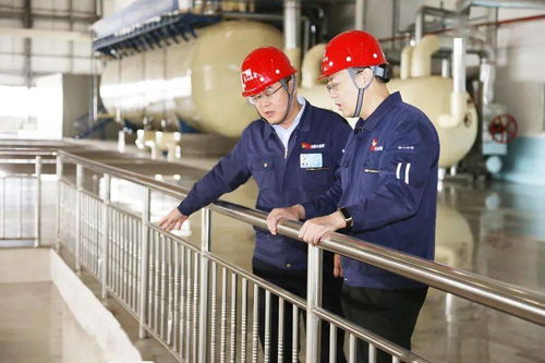 万州长安汽车厂有多少人(万州长安汽车厂的人力资源概况)