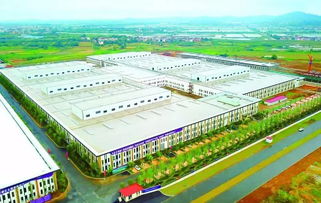 鱼台汽车站占地面积多少(鱼台汽车站占地面积详解)