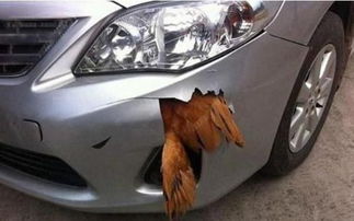 汽车后保险杠撞凹多少钱(汽车后保险杠撞凹的修复费用分析)