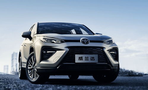 威栏达汽车多少钱一个(威栏达汽车的价格解析) 威栏达汽车多少钱一个(威栏达汽车的价格解析)