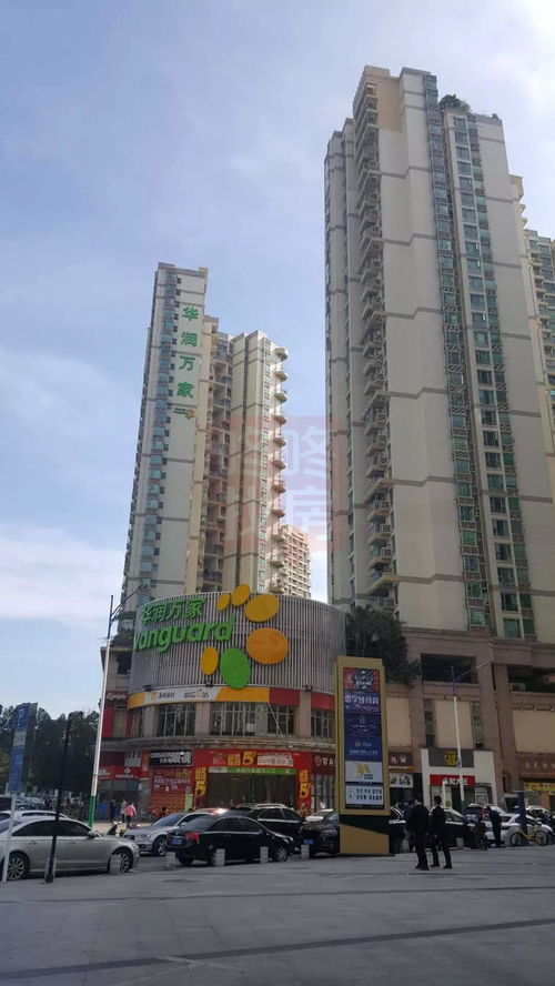 桂城平洲汽车站电话多少(桂城平洲汽车站电话查询及周边配套设施介绍)