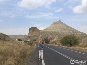 敖汉到锦州汽车票多少钱(敖汉至锦州汽车票价详解，一路的风景与费用)