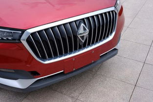 自制喷泉多少钱一台汽车(自制喷泉，汽车上的梦幻水景多少钱一台？