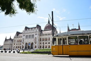 应山到武昌汽车站多少钱(应山到武昌汽车站的价格与交通方式解析)