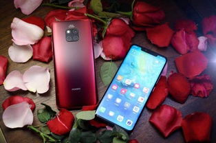 华为粉蓝配色电脑怎么样(华为粉蓝配色电脑评测，设计与性能的综合体验)