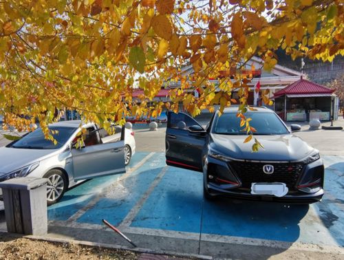 一辆汽车一年花费要多少(一辆汽车一年花费要多少，全面解析汽车年度费用构成)