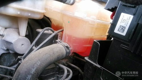 汽车防冻液交换机多少钱(汽车防冻液交换机价格及其相关知识介绍)