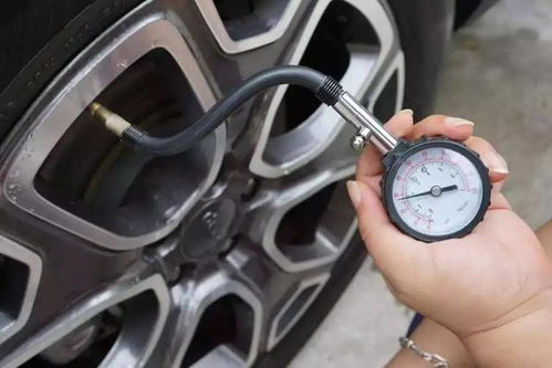 手动挡汽车磨合期多少油(手动挡汽车在磨合期阶段的油耗分析)