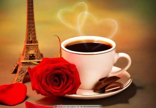 “牛马困了点杯咖啡”广告已被撤下(牛马困了点杯咖啡—一则广告背后的故事与启示)