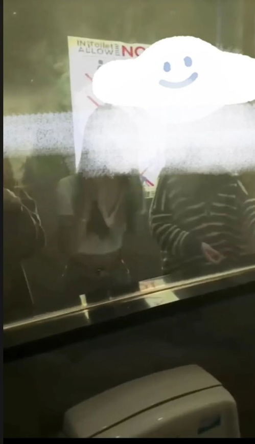 北大男硕士在女厕偷拍被抓(北大男硕士女厕偷拍行为曝光，探究背后的心理与社会影响)