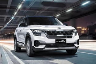 昆明虎辰汽车多少钱一个(昆明虎辰汽车价格解析)