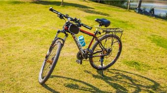 自行车汽车速度一般多少(自行车与汽车的速度，一种比较与探讨)