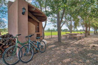 自行车汽车速度一般多少(自行车与汽车的速度，一种比较与探讨)