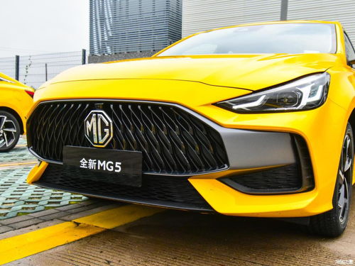 名爵5汽车全膜要多少钱(名爵5汽车全膜价格解析，费用、因素及选择建议)