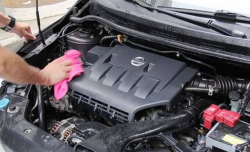 汽车清理发动机仓多少钱(汽车清理发动机仓的费用解析)