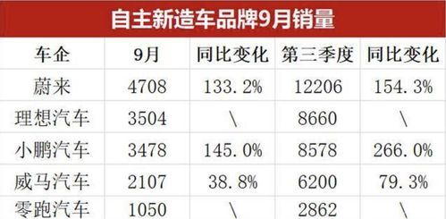 汽车破检的标准是多少年(汽车破检标准及其影响，多少年的分水岭？