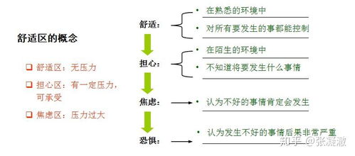 汽车竹炭一般能放多少年(汽车竹炭的寿命及其影响因素分析)