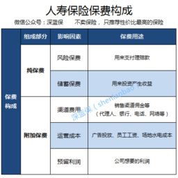 汽车保险总价多少钱一年(汽车保险总价多少钱一年，深度解析费用构成与影响因素)