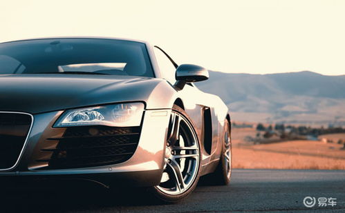 汽车贴膜前补灰多少钱贴(汽车贴膜前补灰成本与考量，探讨汽车贴膜前的细节与费用)