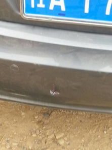 小汽车换后保险杠多少钱(小汽车换后保险杠的费用解析) 小汽车换后保险杠多少钱(小汽车换后保险杠的费用解析)