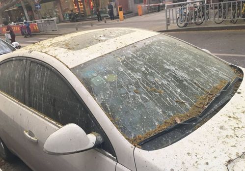 汽车全车漆多少年做一次(汽车全车漆保养与定期喷涂的重要性—多久做一次全车漆？