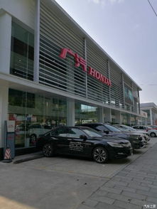 恒信在汽车行业排多少名(恒信在汽车行业中的排名解析)