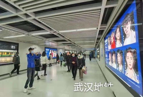 中国汽车站有多少人坐(中国汽车站的人流量统计,探究每日有多少人乘坐) 中国汽车站有多少人坐(中国汽车站的人流量统计,探究每日有多少人乘坐)