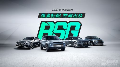 动力强的汽车多少钱一瓶(动力强的汽车多少钱一瓶？探究高性能汽车的价格与价值)