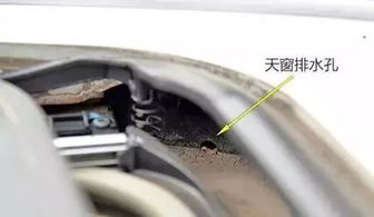 汽车尾气孔排水要多少钱(汽车尾气孔排水费用解析)