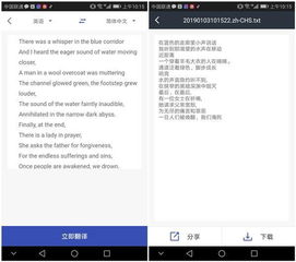 华为电脑同传翻译怎么用(华为电脑同传翻译功能详解，高效便捷的多语言沟通利器)
