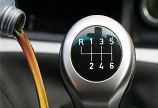 瑞纳汽车变速箱油加多少(瑞纳汽车变速箱油加多少—深入了解与操作指南)