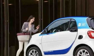 汽车安装多少钱一平方米(汽车安装费用详解,每平方米的投入与考量) 汽车安装多少钱一平方米(汽车安装费用详解,每平方米的投入与考量)