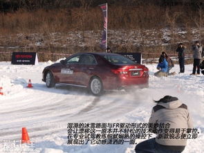 雪锐汽车多少钱一瓶啤酒(雪锐汽车与啤酒价格，探寻背后的故事)