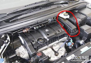汽车气芯换一下多少钱(汽车气芯更换费用解析) 汽车气芯换一下多少钱(汽车气芯更换费用解析)