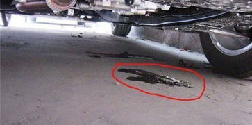 汽车漏油换一次多少钱油(汽车漏油维修费用及换油成本解析)