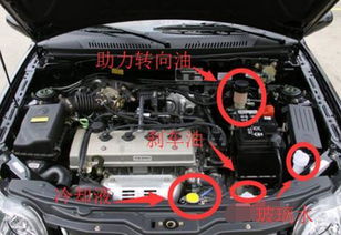 自由舰汽车防冻液加多少(自由舰汽车防冻液加注量详解)