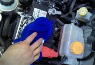 汽车发动机舱内有多少水(汽车发动机舱内水的存在与影响，揭秘发动机舱内的水容量)